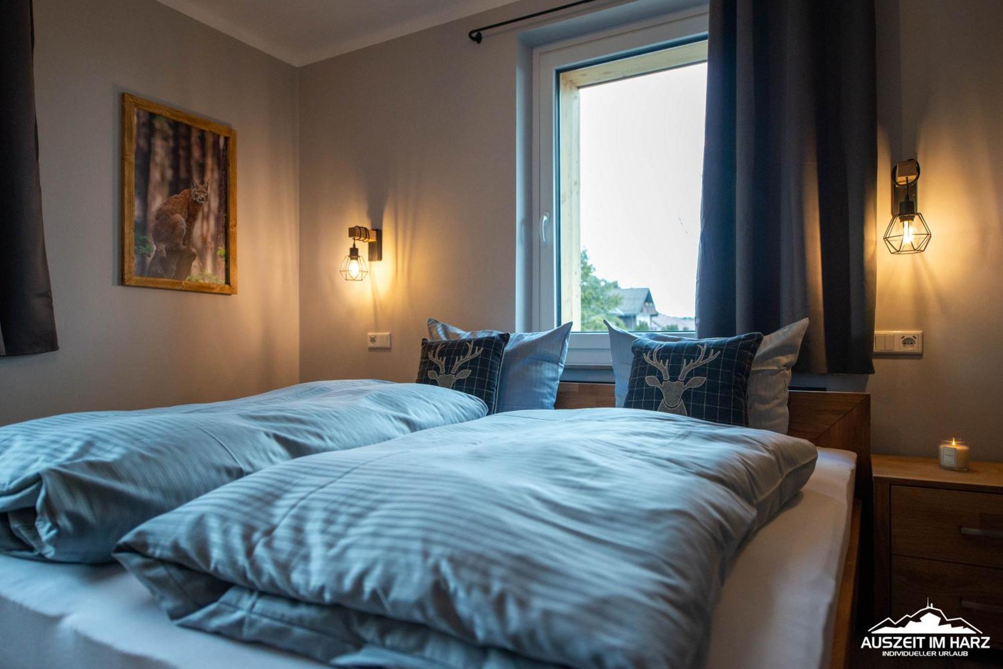 בראונלאגה Auszeit-Im-Harz Haus 3 Wohnung 3 מראה חיצוני תמונה